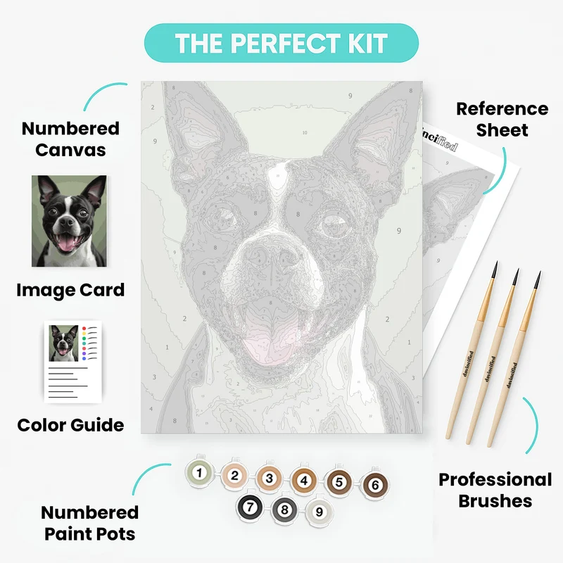 Happy Boston Terrier - Paint by Numbers Kit
