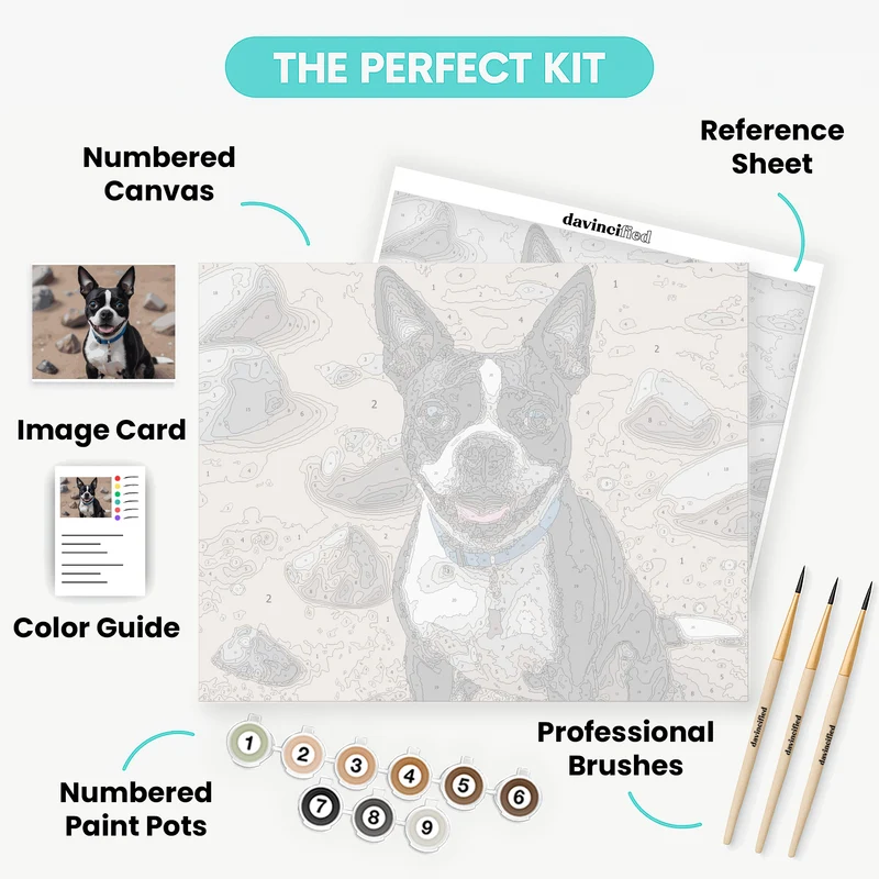 Boston Terrier at the Beach - Paint by Numbers Kit