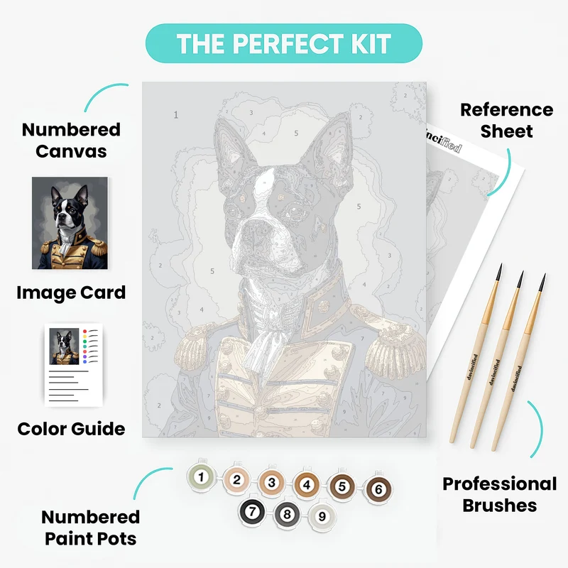 Boston Terrier in Naval Uniform - Paint by Numbers Kit