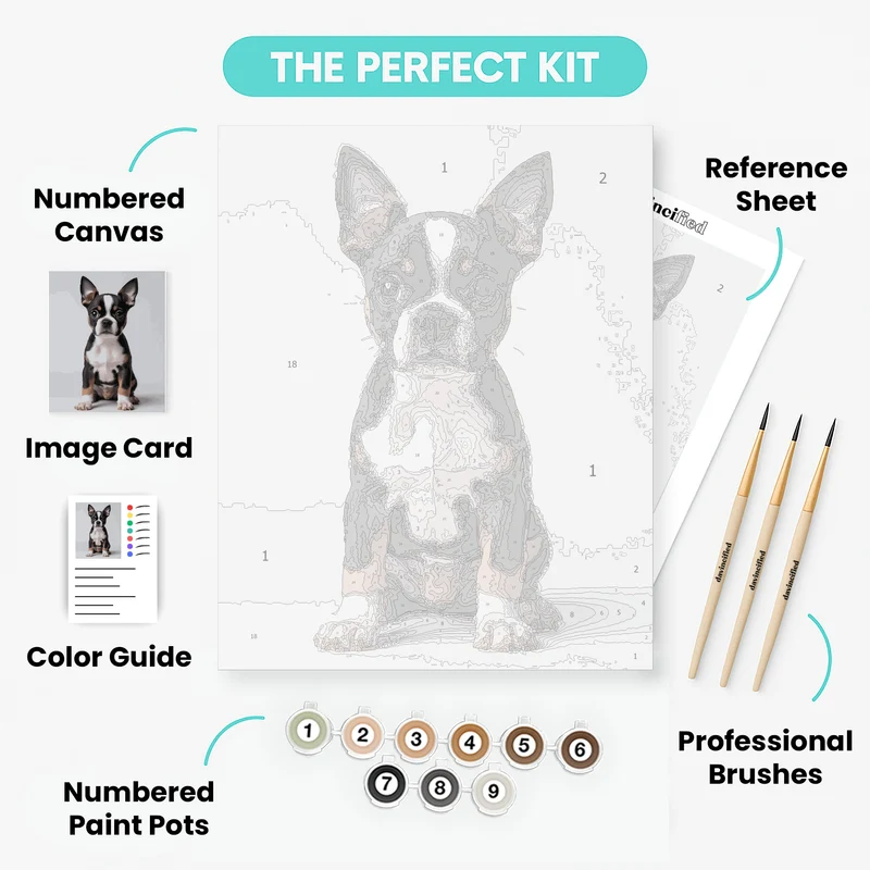 Boston Terrier Puppy Portrait - Paint by Numbers Kit
