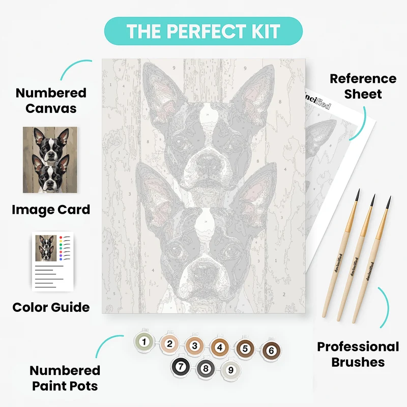Boston Terrier Duo - Paint by Numbers Kit