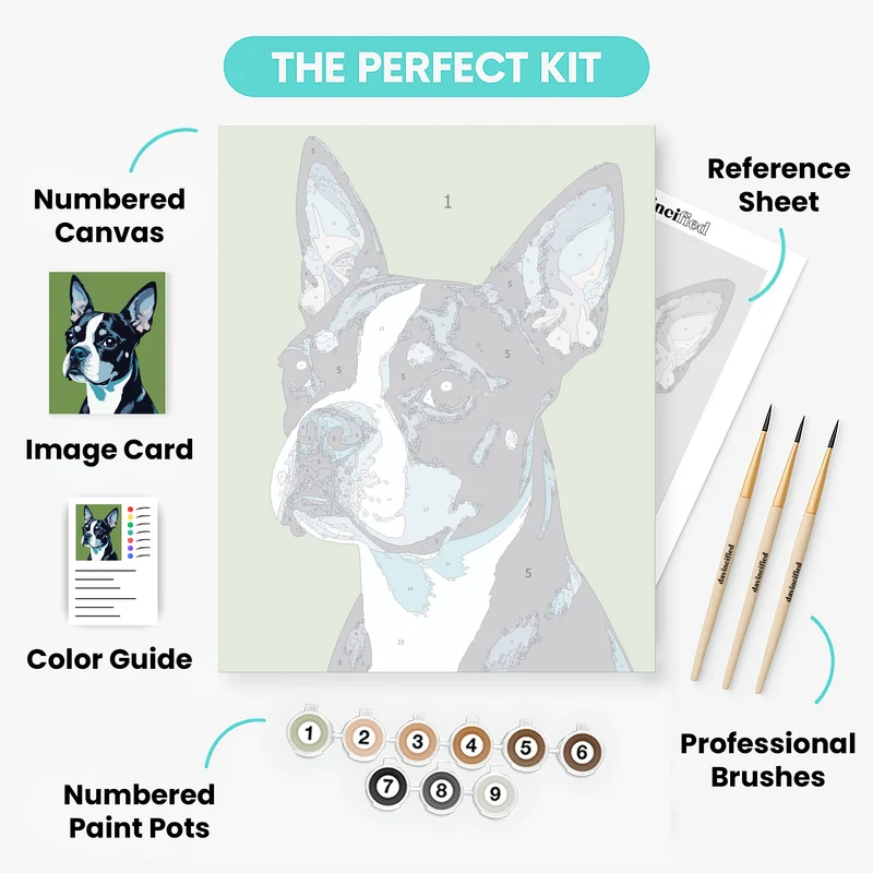 Boston Terrier Portrait - Paint by Numbers Kit