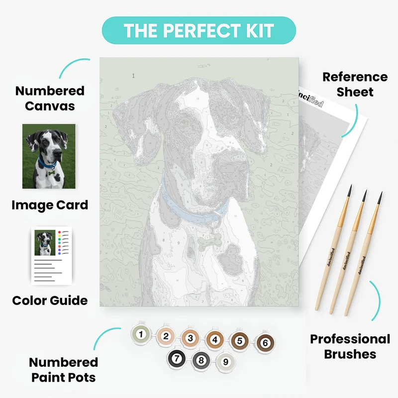 Great Dane - Paint by Numbers Kit