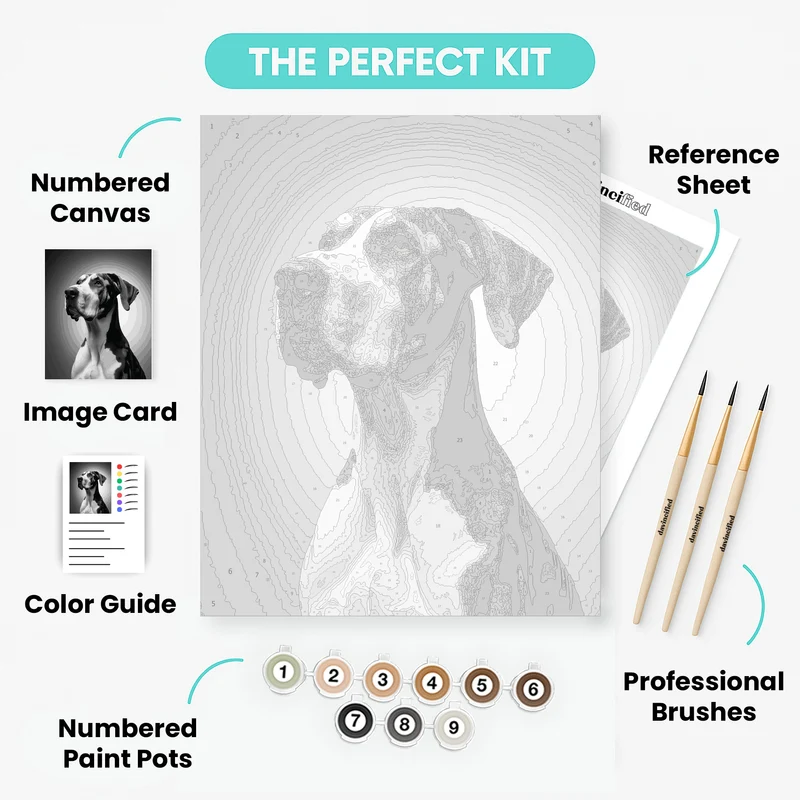 Elegant Great Dane Portrait - Paint by Numbers Kit