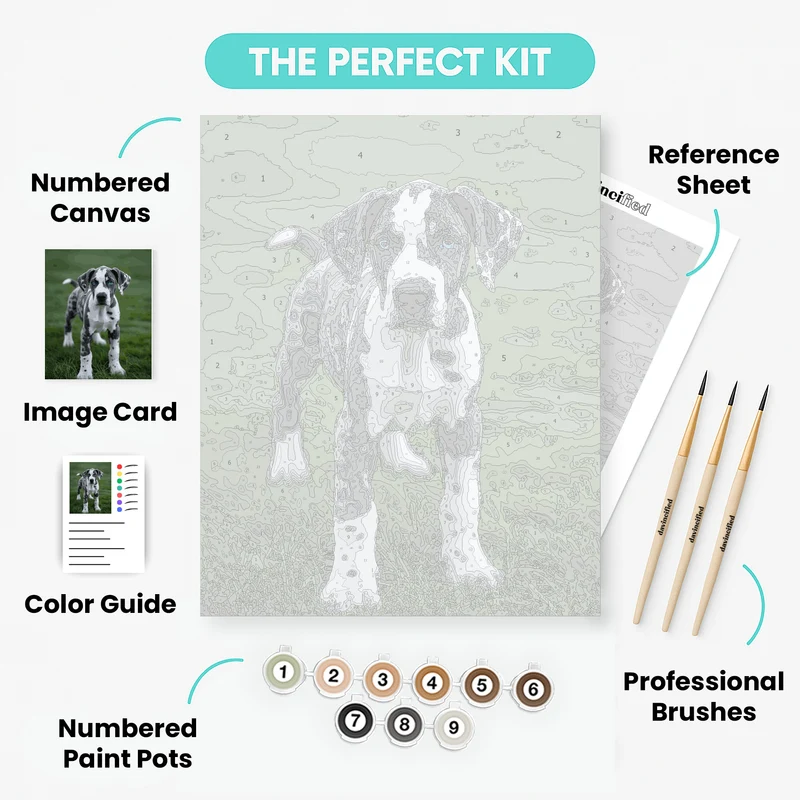 Great Dane Puppy - Paint by Numbers Kit