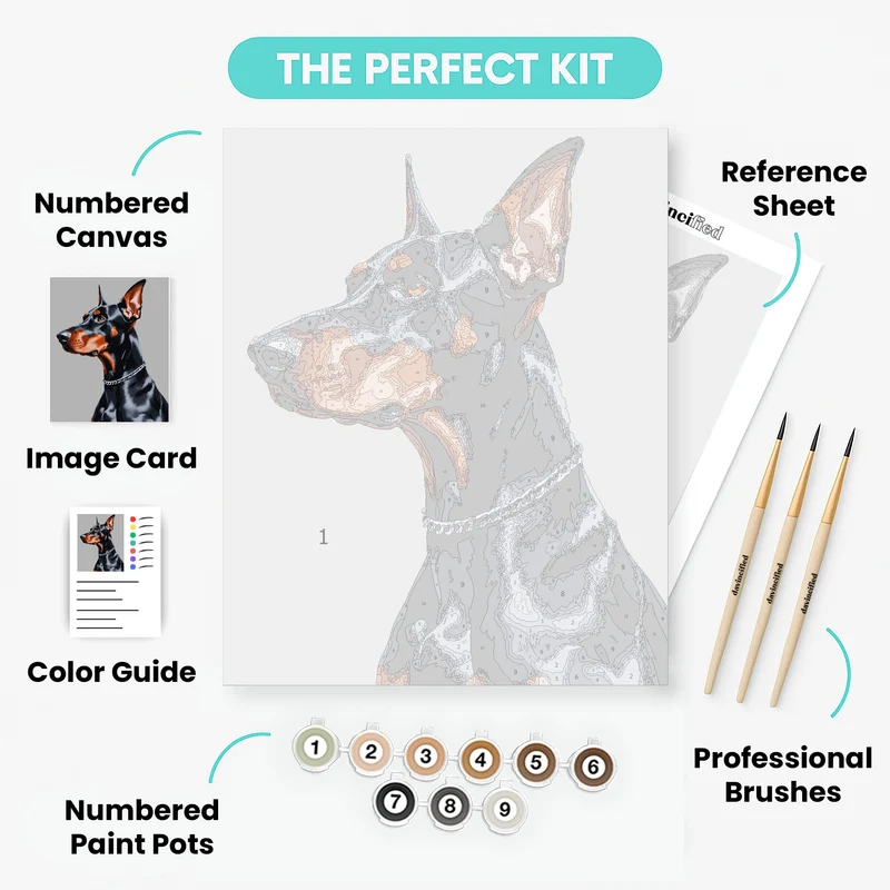 Sleek Doberman with Chain Collar - Paint by Numbers Kit