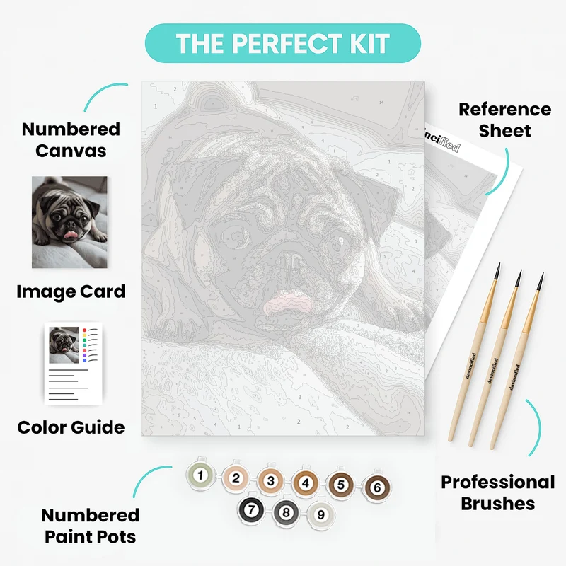 Adorable Pug with Tongue Out - Paint by Numbers Kit