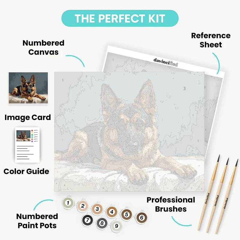 Regal German Shepherd Lying Down - Paint by Numbers Kit