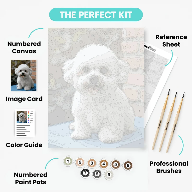 Adorable Bichon Frise - Paint by Numbers Kit