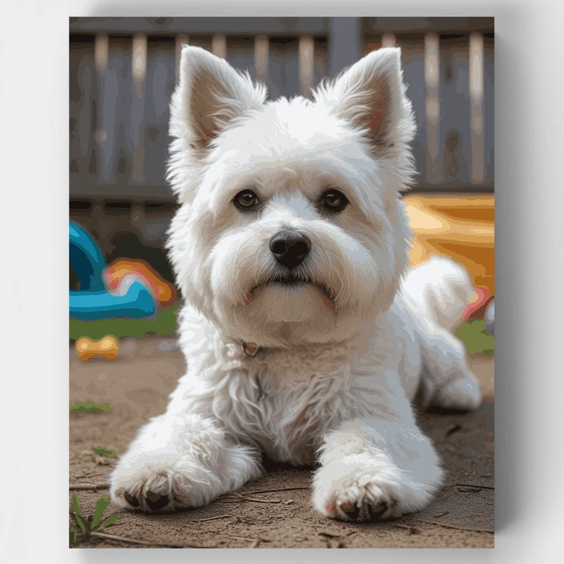 West Highland White Terrier - Paint by Numbers Kit