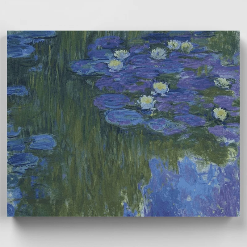 Nymphéas en Fleur - Paint by Numbers Kit