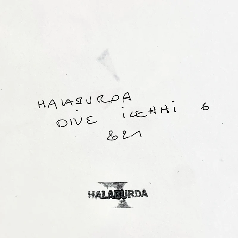 Dive Icehhi 6
