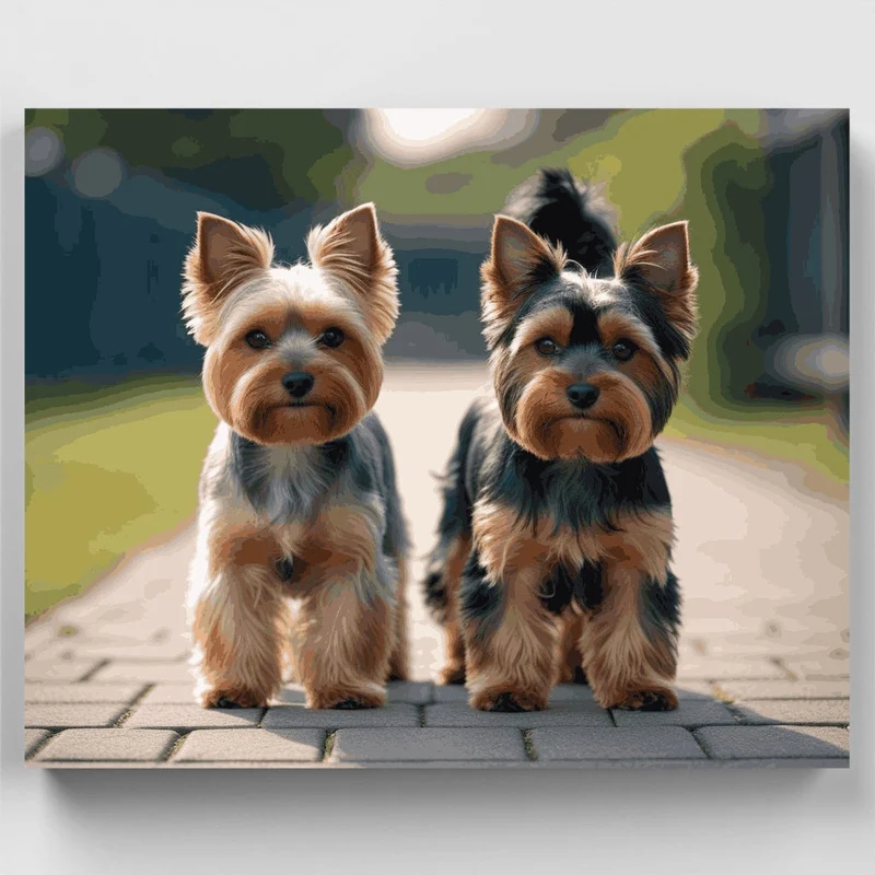 Yorkshire Terrier Duo Portrait - Paint by Numbers Kit