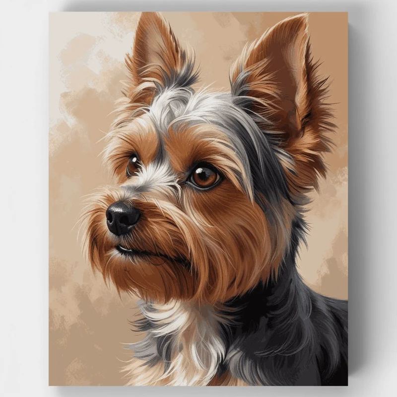 Charming Yorkshire Terrier with Silky Coat - Paint by Numbers Kit