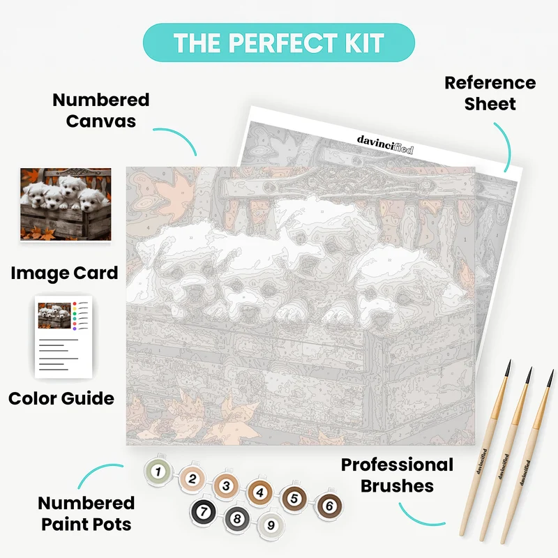 Adorable White Puppies in Autumn Setting - Paint by Numbers Kit