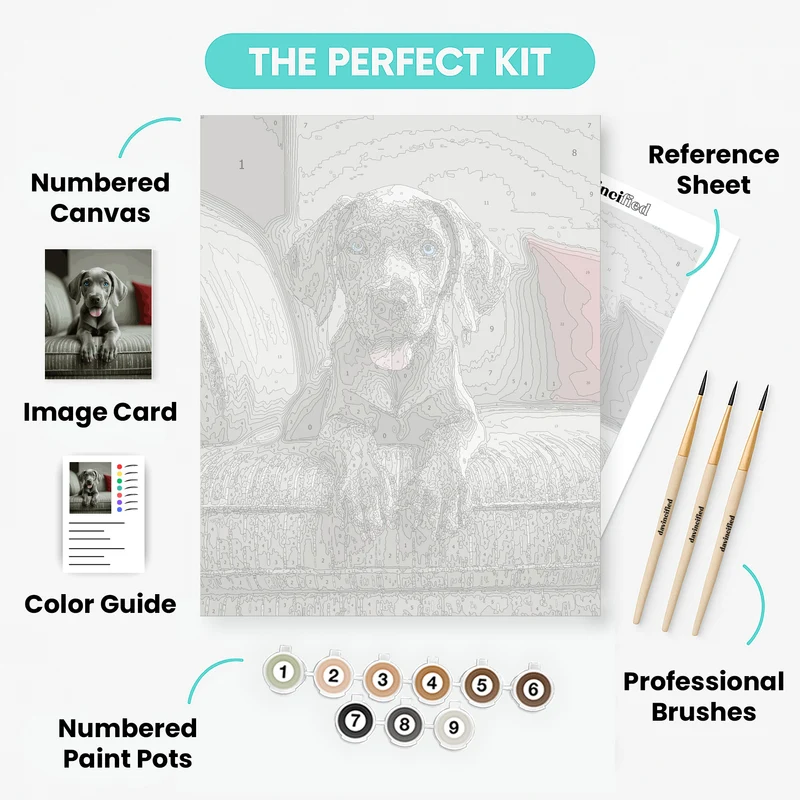 Gray Weimaraner Puppy on Couch - Paint by Numbers Kit