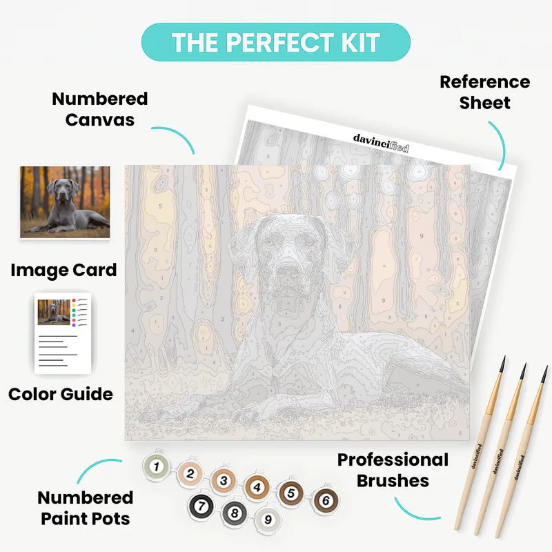 Weimaraner in Autumn Forest - Paint by Numbers Kit