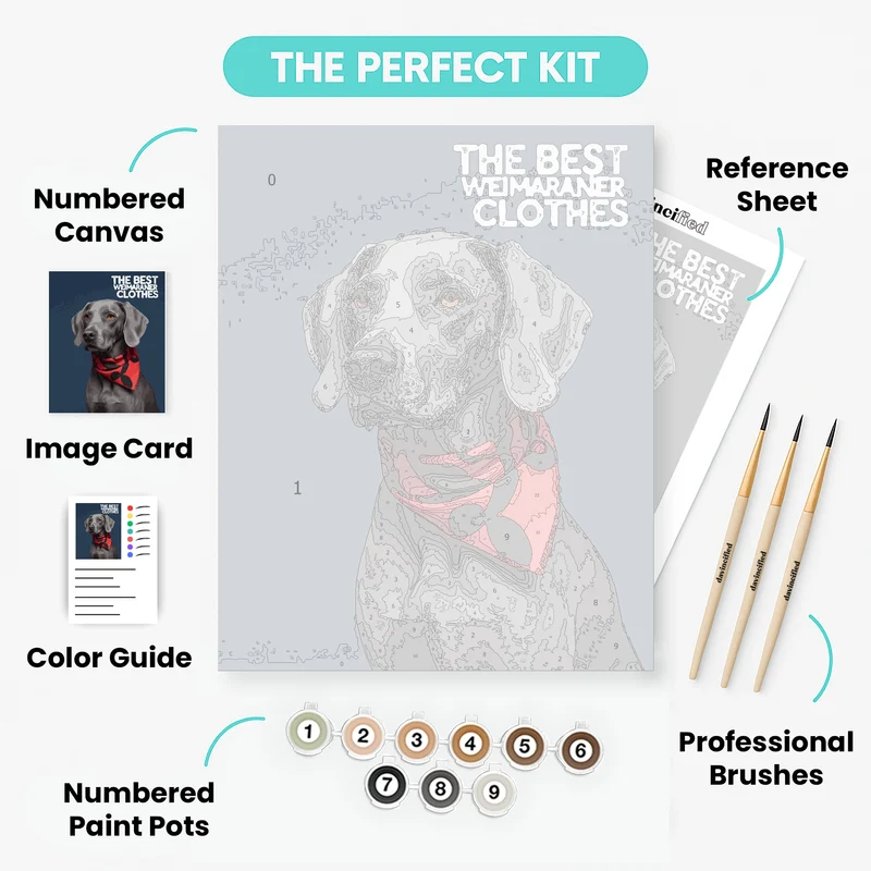 Weimaraner in Red Bandana - Paint by Numbers Kit