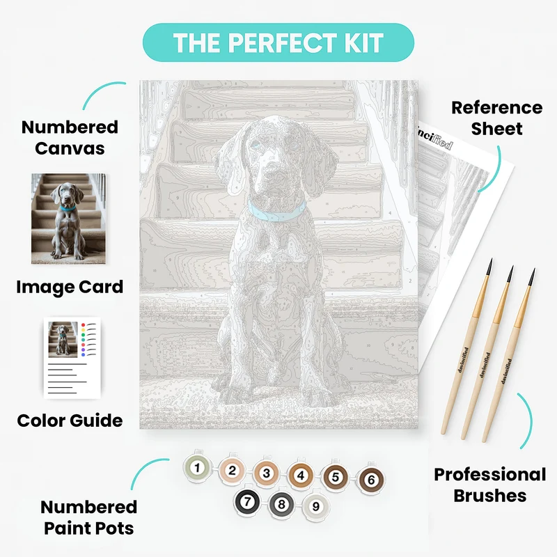 Weimaraner Puppy on Stairs - Paint by Numbers Kit