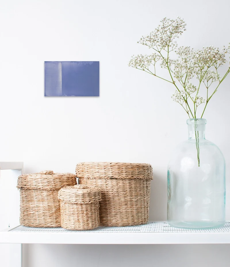 2 colors Shelf Mushroom