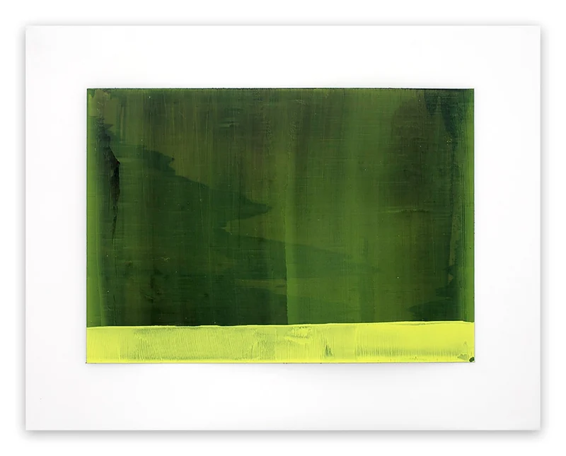 Witch Hazel 3