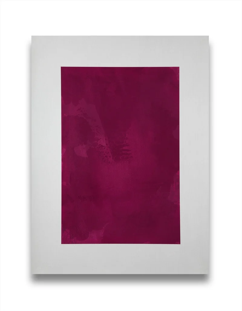 A color of Sumac 2
