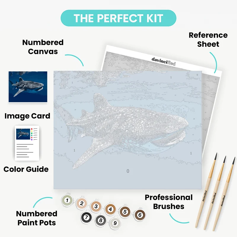 Whale Shark - Paint by Numbers Kit
