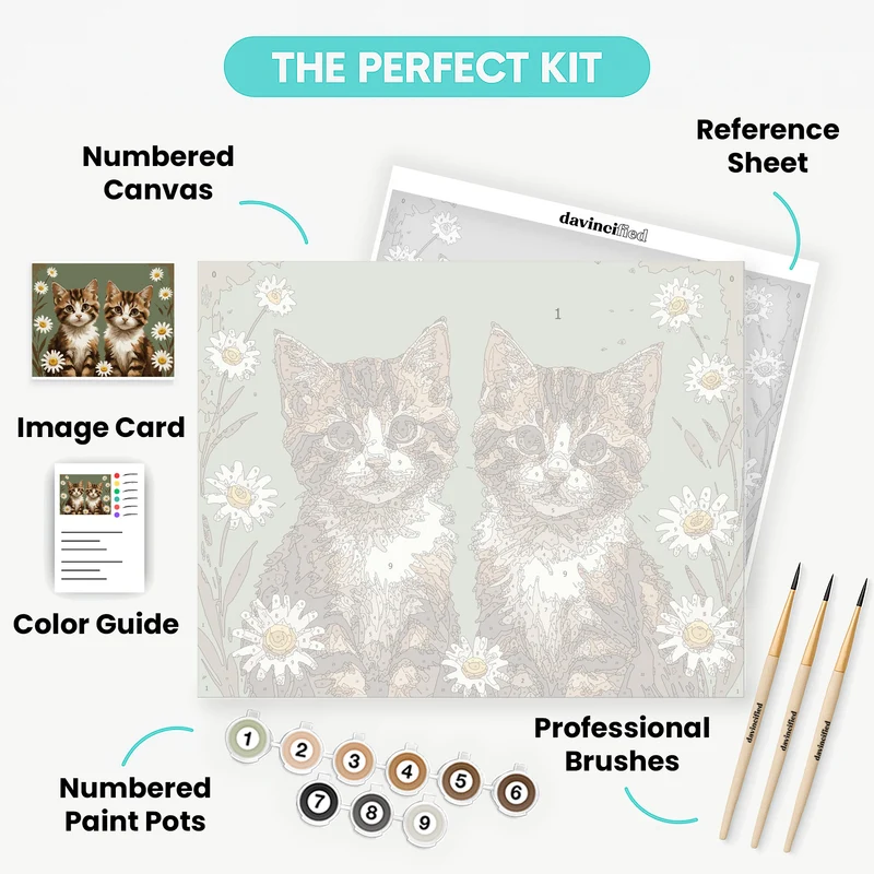 Two Adorable Kittens in Daisy Field - Paint by Numbers Kit