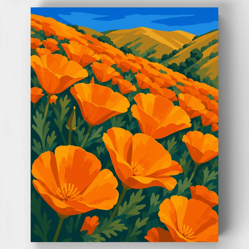 Golden Poppy Fields - Paint by Numbers Kit
