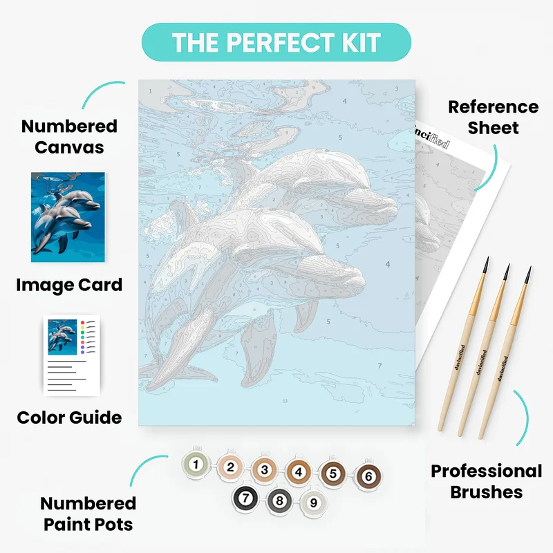 Two Dolphins Swimming Underwater - Paint by Numbers Kit