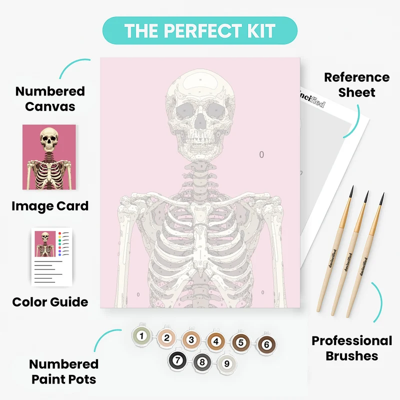 Skeleton on Pink Background - Paint by Numbers Kit
