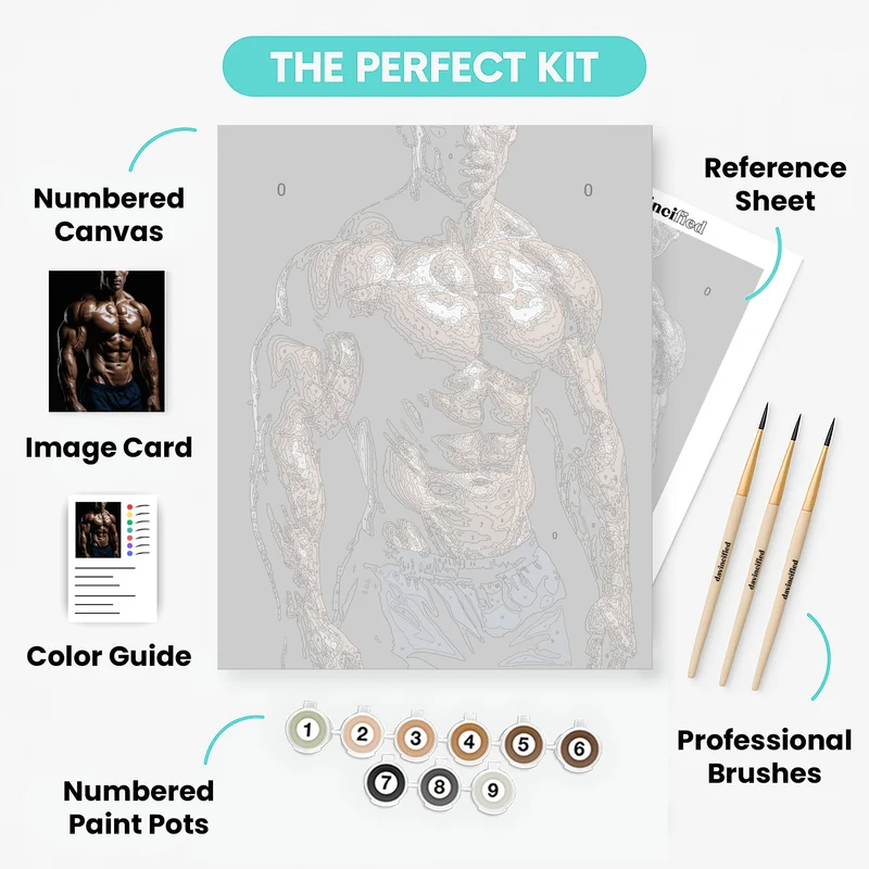 Muscular Male Physique - Paint by Numbers Kit