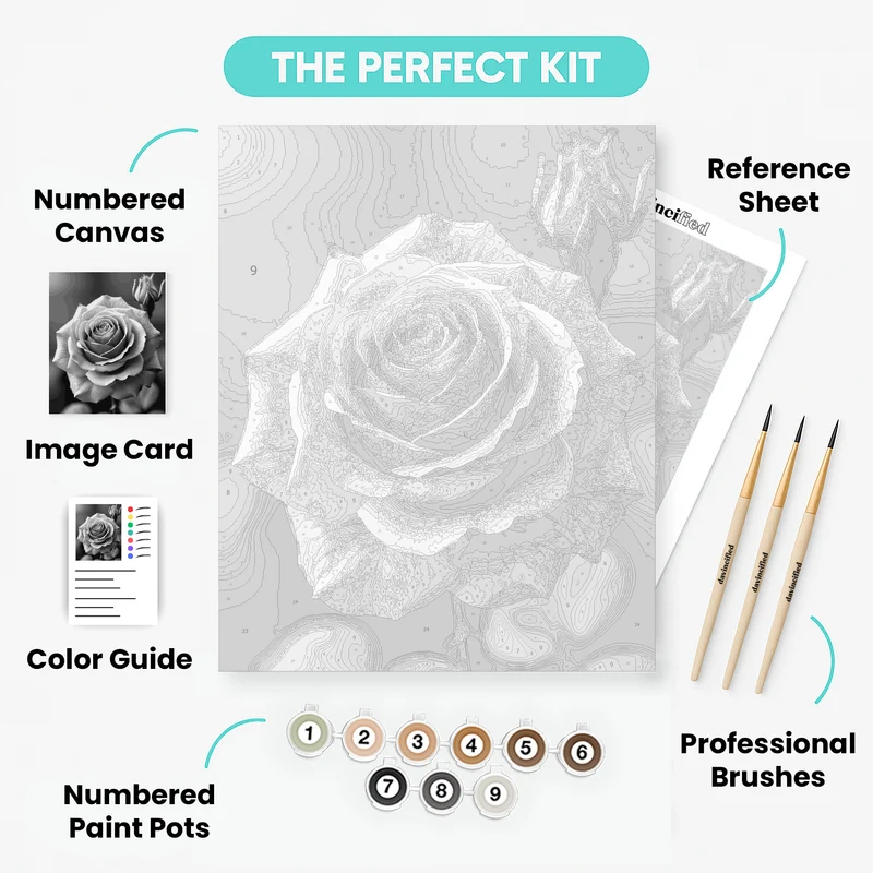 Black and White Rose - Paint by Numbers Kit