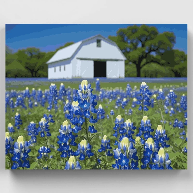 Bluebonnet Field with White Barn - Paint by Numbers Kit