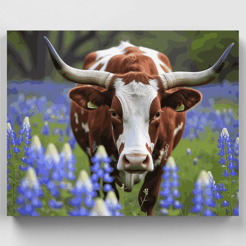 Longhorn Bull in Bluebonnets - Paint by Numbers Kit