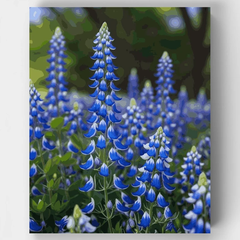 Blue Lupine Wildflowers - Paint by Numbers Kit