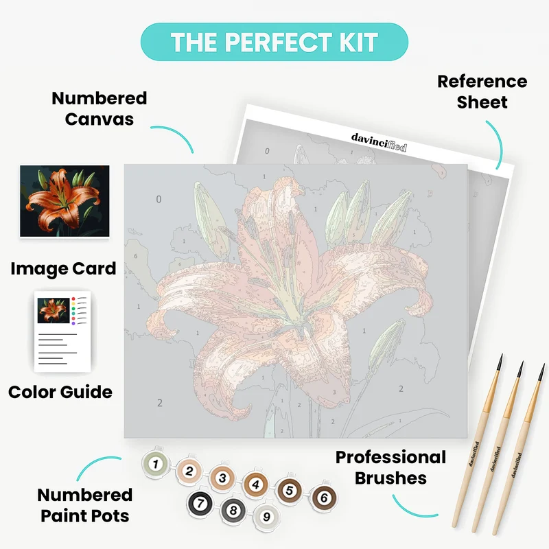 Orange Tiger Lily Bloom - Paint by Numbers Kit