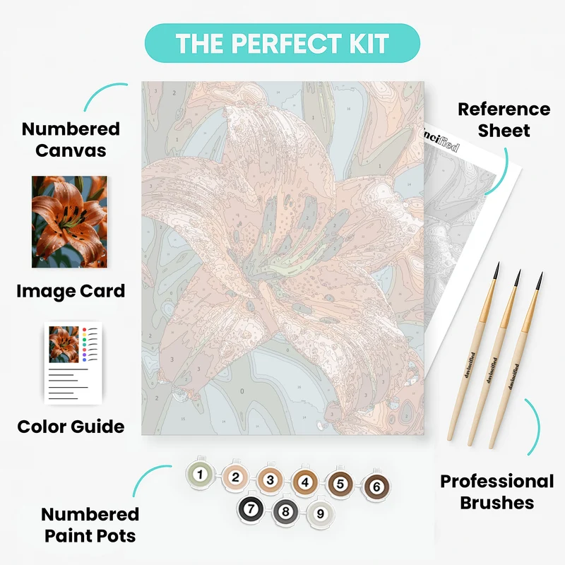 Orange Tiger Lily with Water Droplets - Paint by Numbers Kit