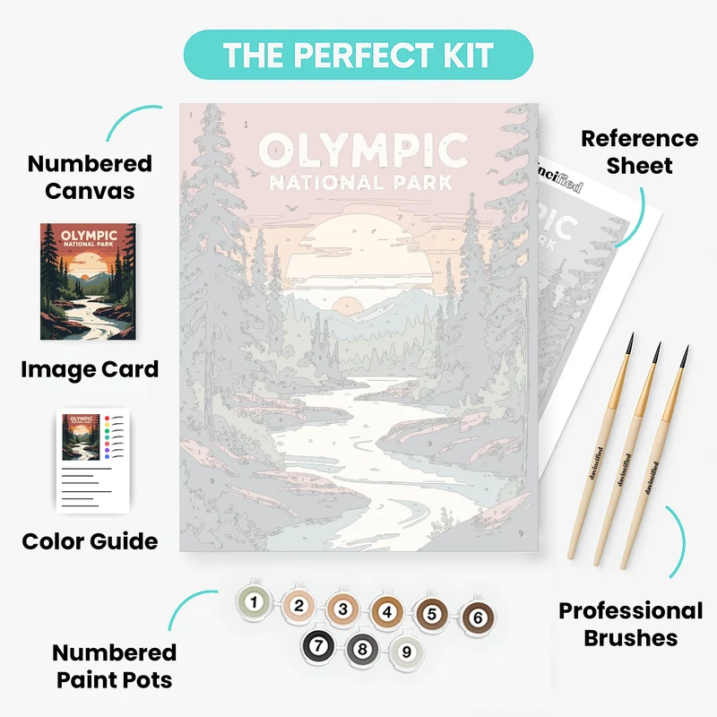 Olympic National Park River Sunset Through Pine Forest - Paint by Numbers Kit