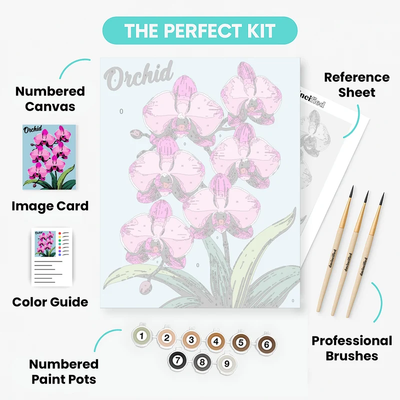 Orchid - Paint by Numbers Kit