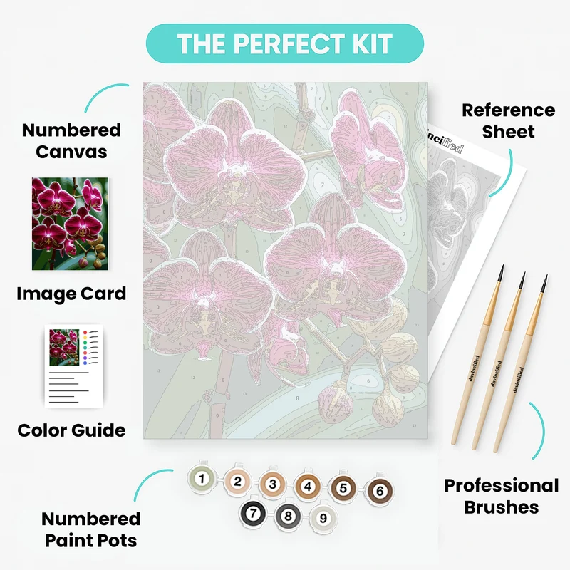 Vibrant Purple Orchids - Paint by Numbers Kit