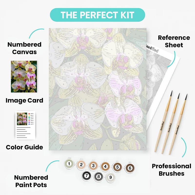 Elegant Orchid Blooms - Paint by Numbers Kit
