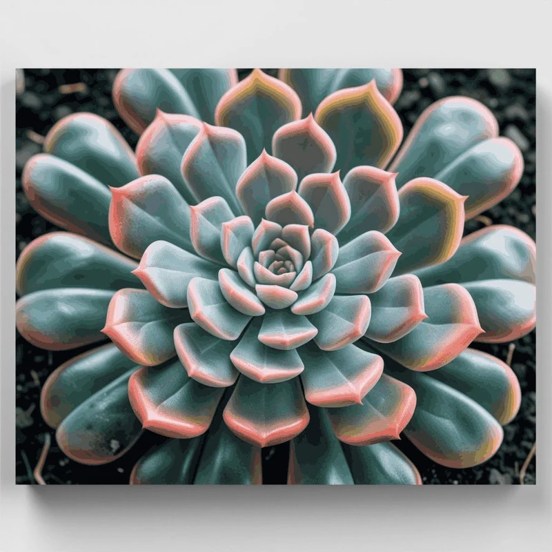 Spiral Succulent - Paint by Numbers Kit