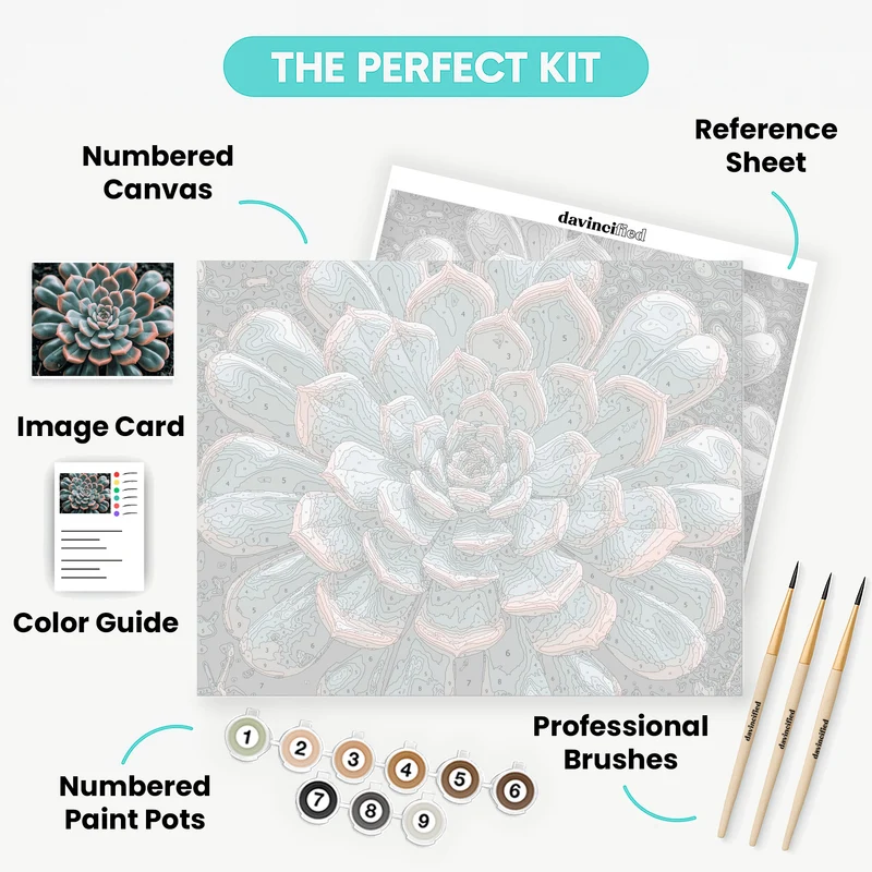 Spiral Succulent - Paint by Numbers Kit