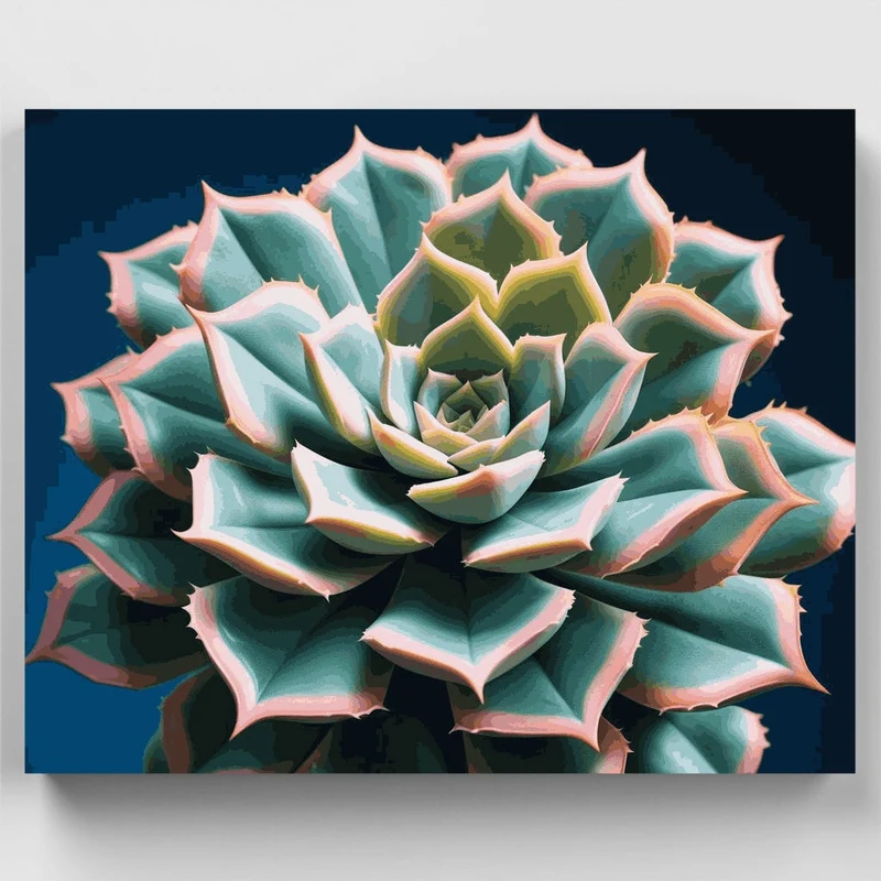 Stunning Succulent Spiral - Paint by Numbers Kit