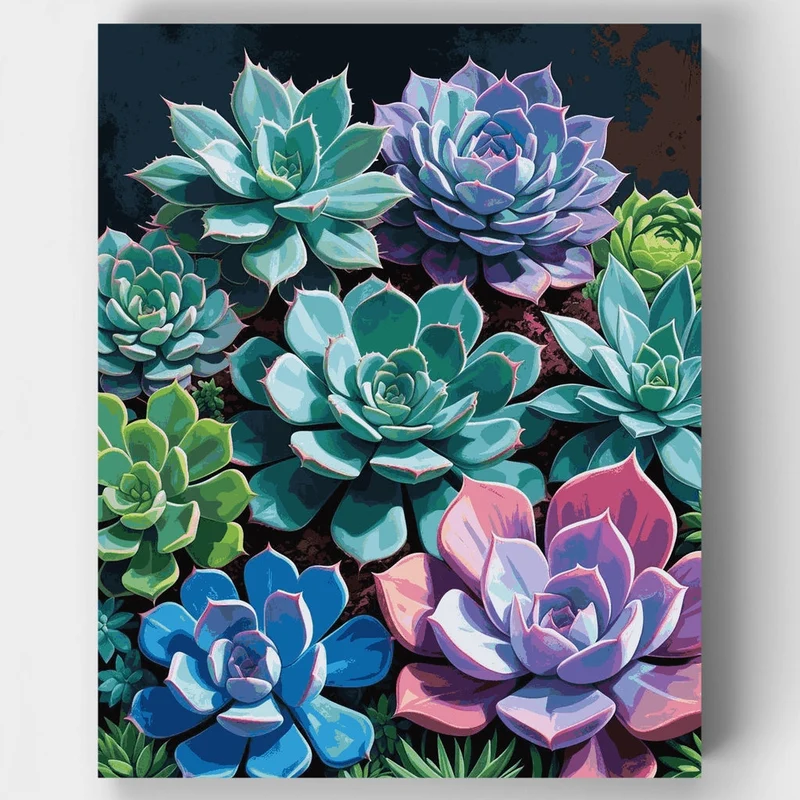 Rainbow Succulent Collection - Paint by Numbers Kit