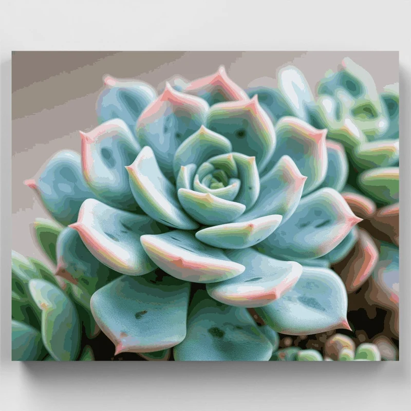 Pastel Succulents - Paint by Numbers Kit