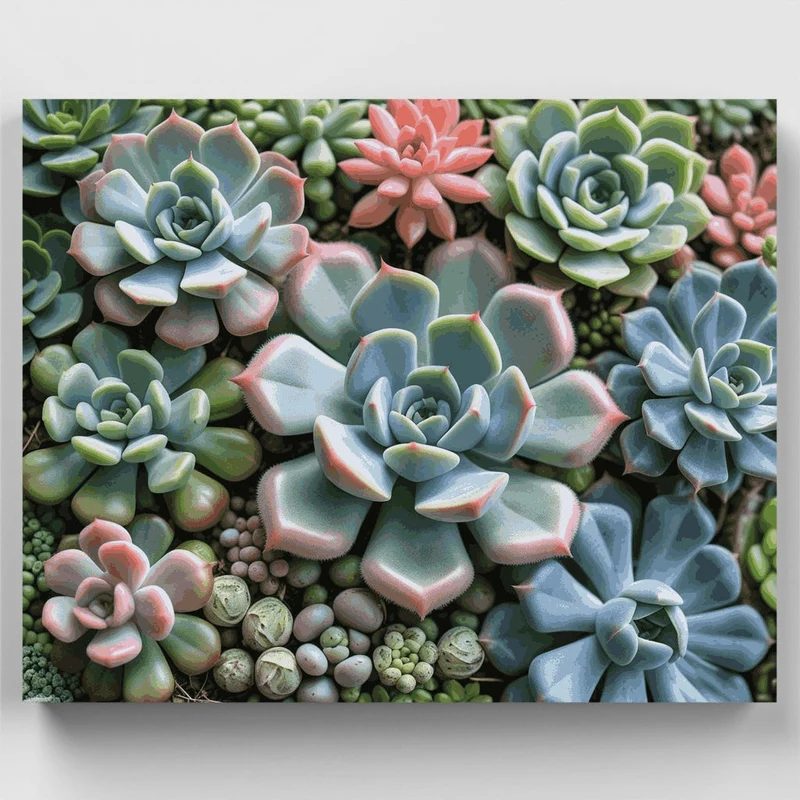 Colorful Succulent Garden - Paint by Numbers Kit