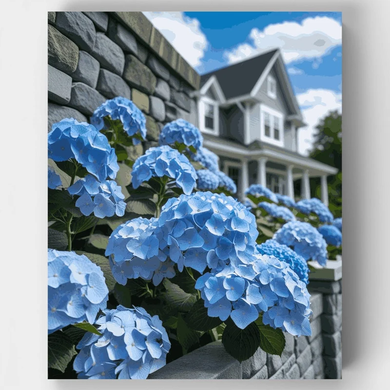 Blue Hydrangeas by Stone Wall - Paint by Numbers Kit