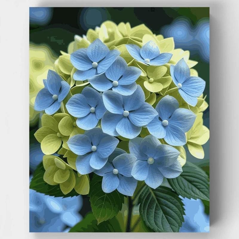 Blue and Yellow Hydrangea Blooms - Paint by Numbers Kit